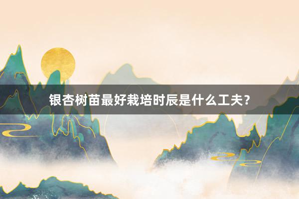 银杏树苗最好栽培时辰是什么工夫？