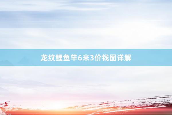龙纹鲤鱼竿6米3价钱图详解